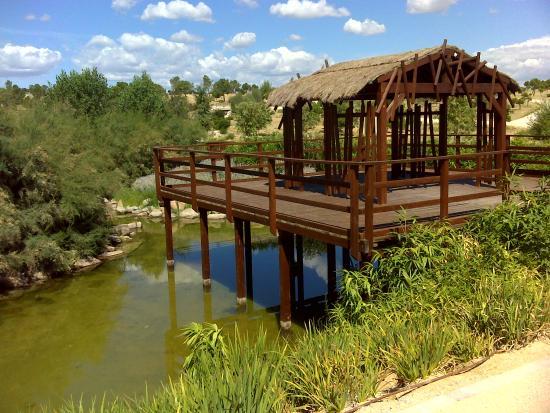 Parque Forestal de Valdebebas-Felipe VI